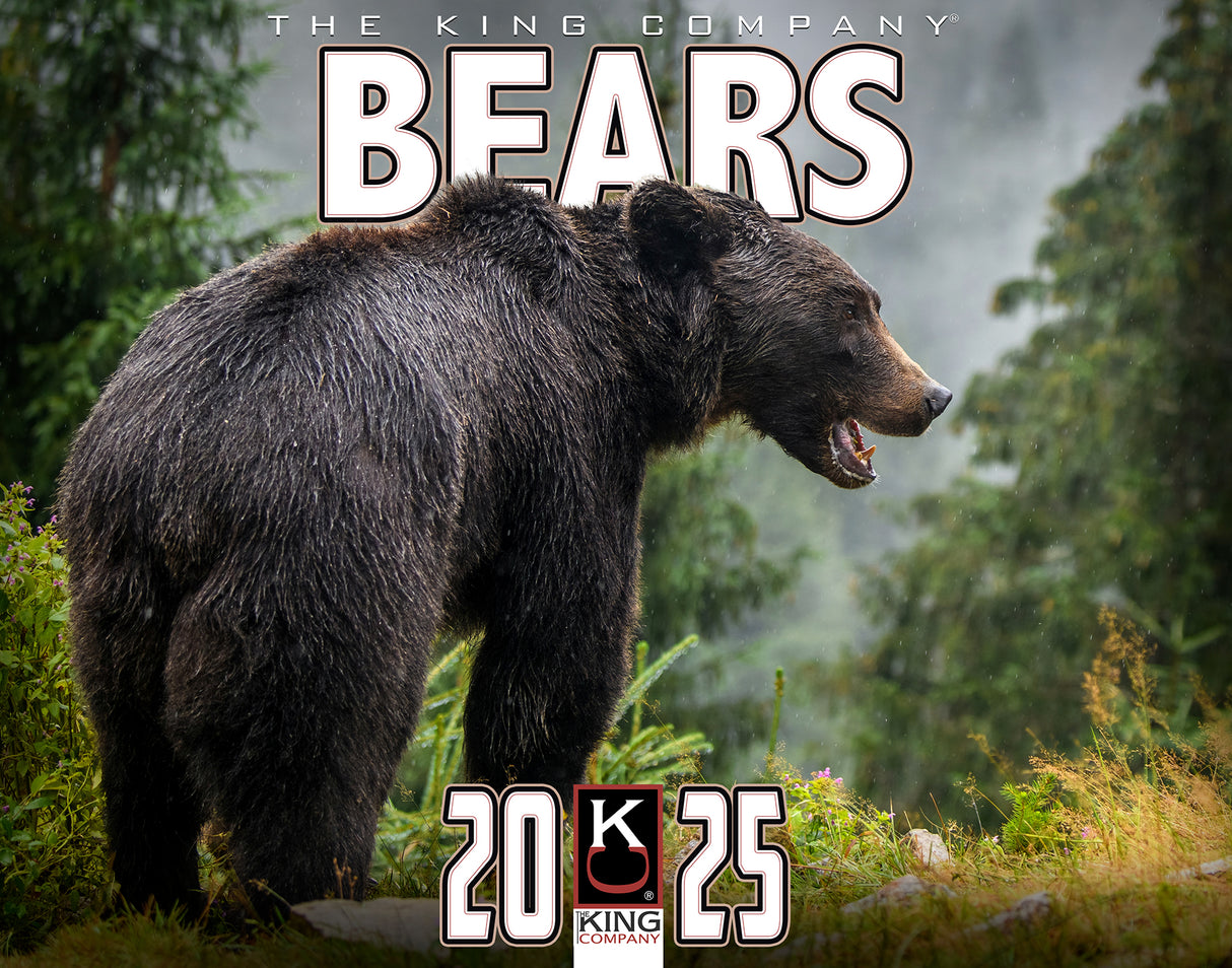 2025 Bears Wall Calendar