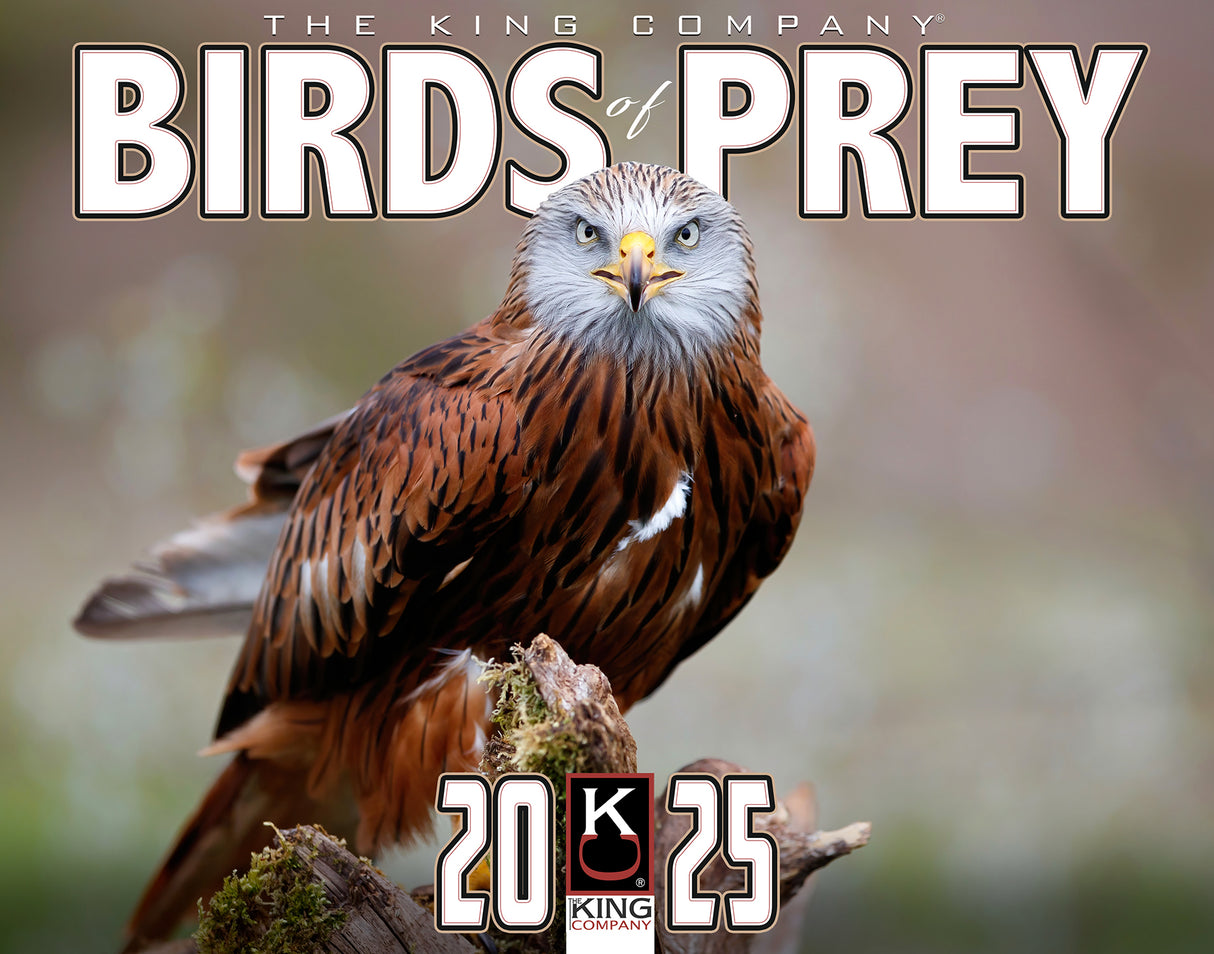 2025 Birds of Prey Wall Calendar