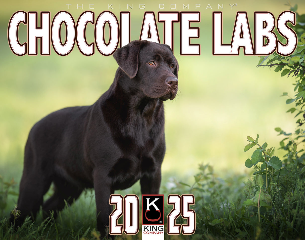 2025 Chocolate Labrador Dog Wall Calendar