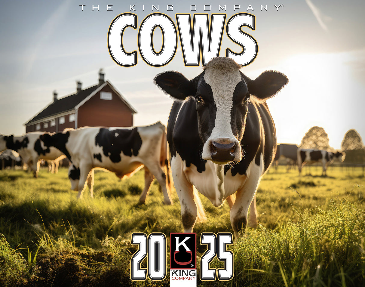 2025 Cows Wall Calendar
