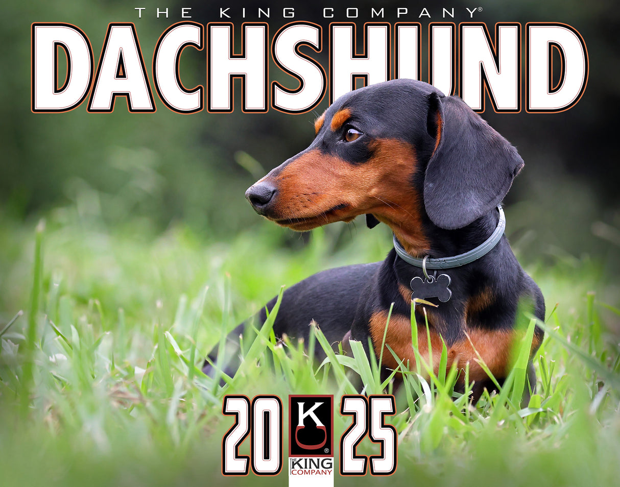 2025 Dachshund Wall Calendar