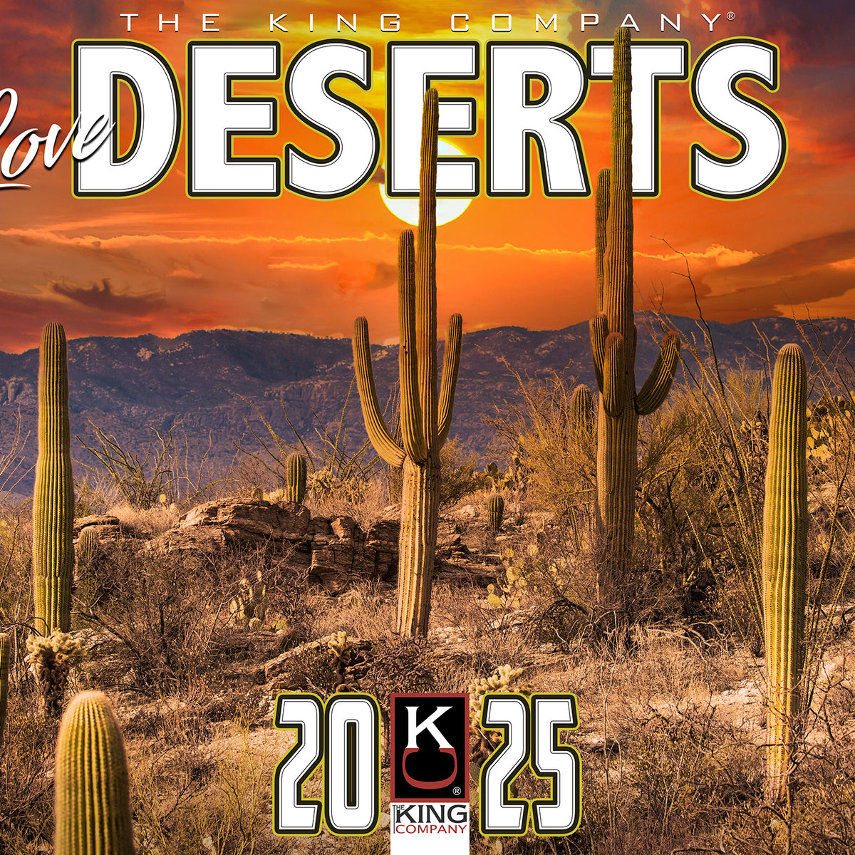 2025 Desert Scenic Wall Calendar 16-Month X-Large Size 14x22, Best ...