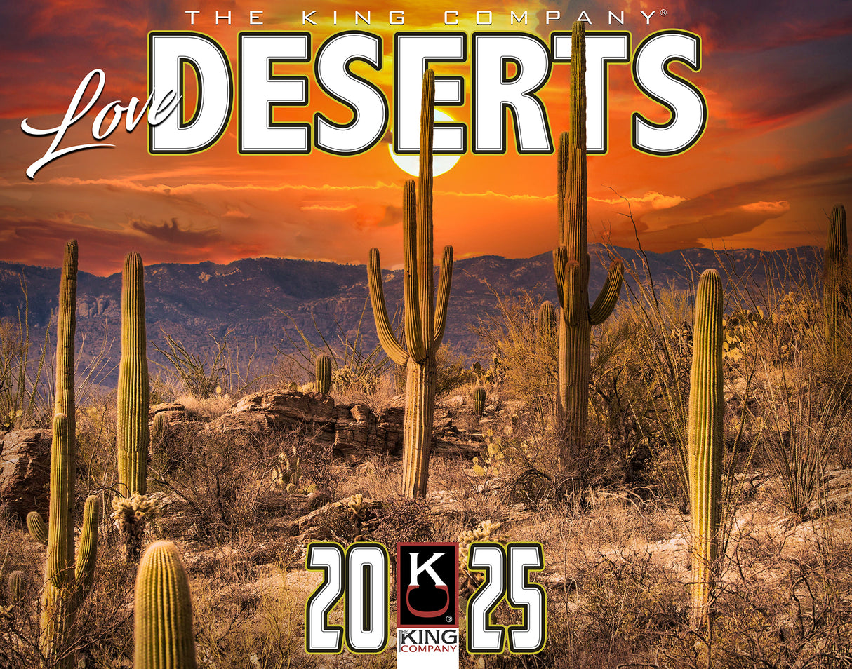 2025 Desert Scenic Wall Calendar