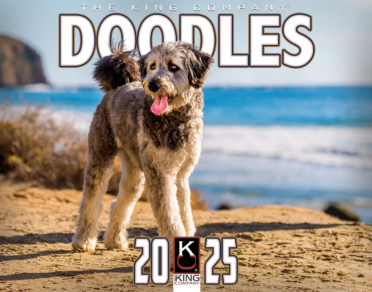 2025 Doodles Wall Calendar