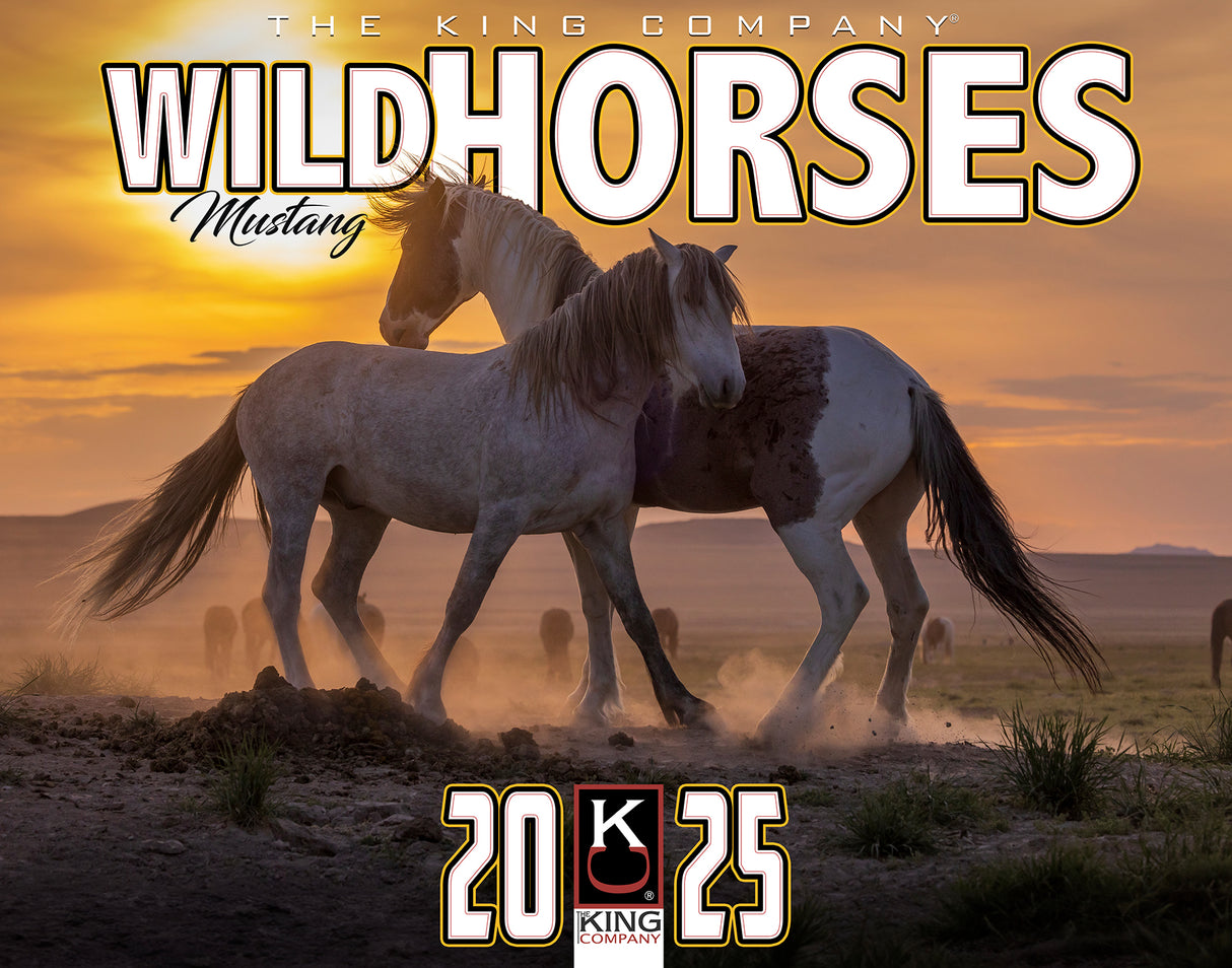 2025 Wild Horses Wall Calendar