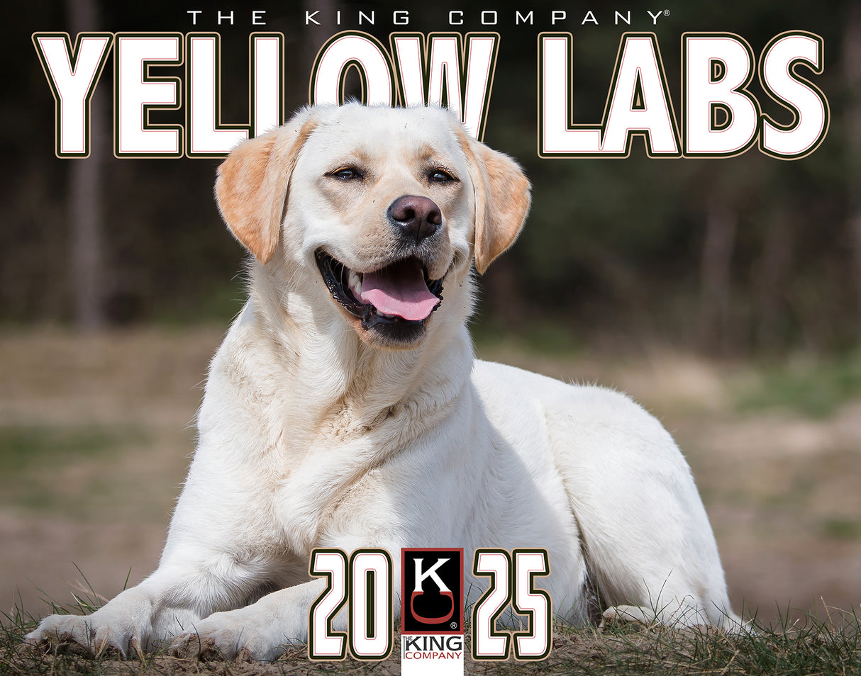 2025 Yellow Labrador Dog Wall Calendar