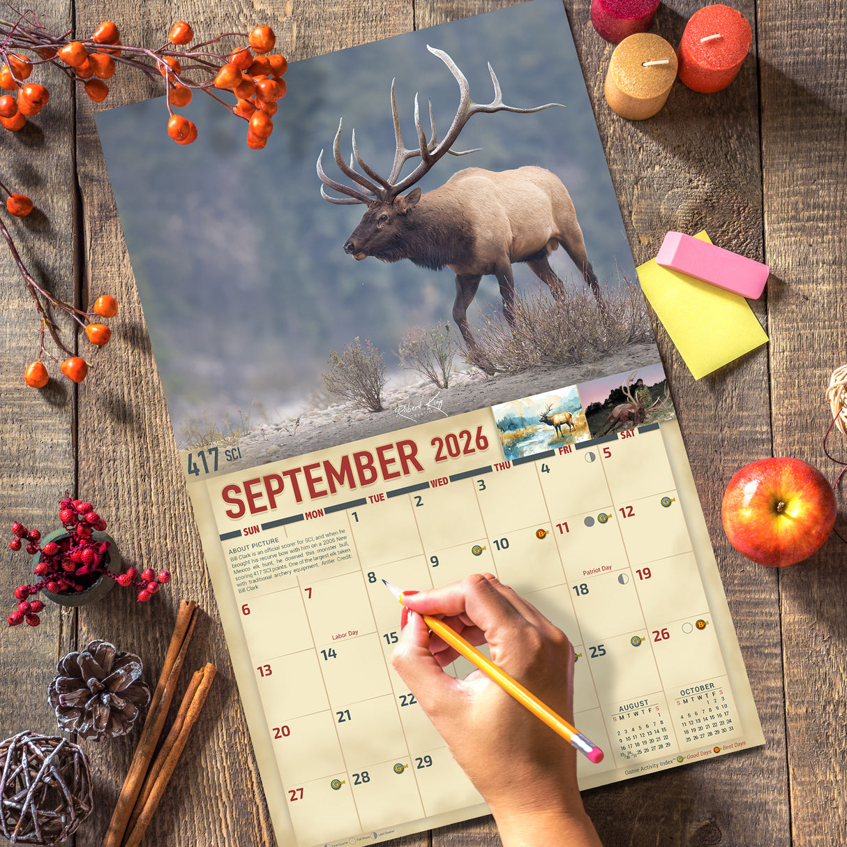 2026 Bucks and Bulls Signature Series Wall Calendar