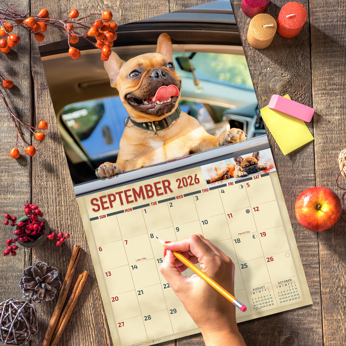 2026 Bulldogs Wall Calendar