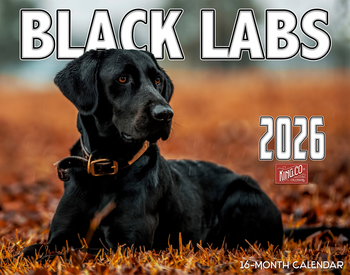 2026 Black Labradors Wall Calendar
