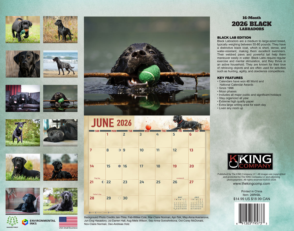 2026 Black Labradors Wall Calendar