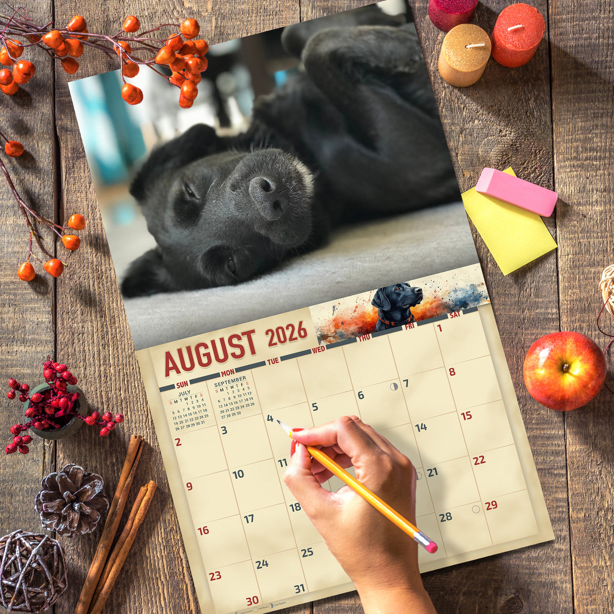2026 Black Labradors Wall Calendar