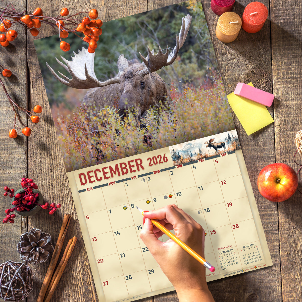 2026 Bull Moose Wall Calendar