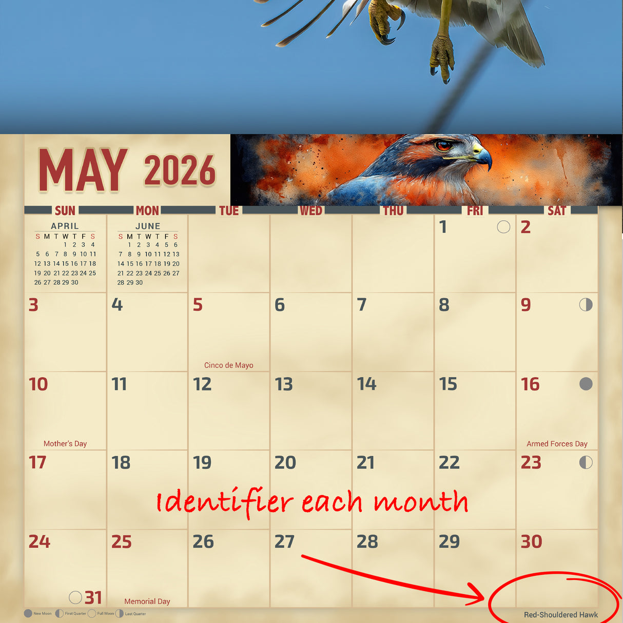 2026 Birds of Prey Wall Calendar