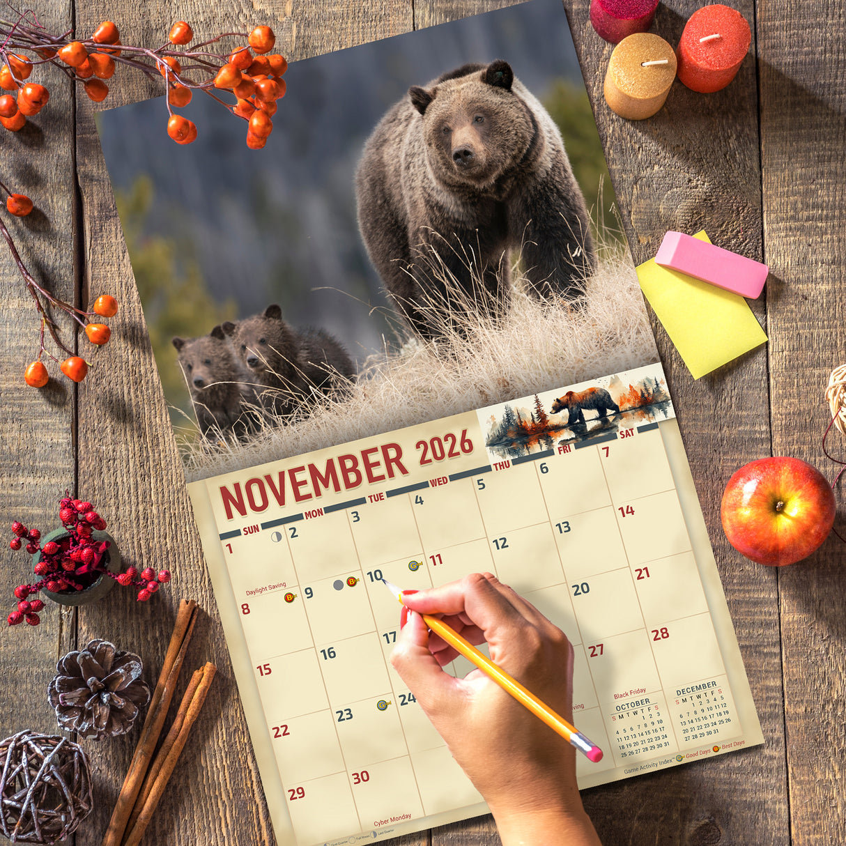 2026 Bears of North America Wall Calendar