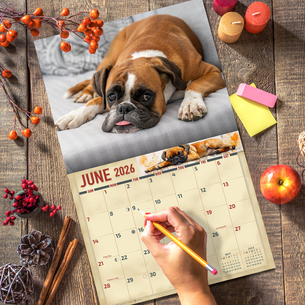 2026 Boxer Dogs Wall Calendar
