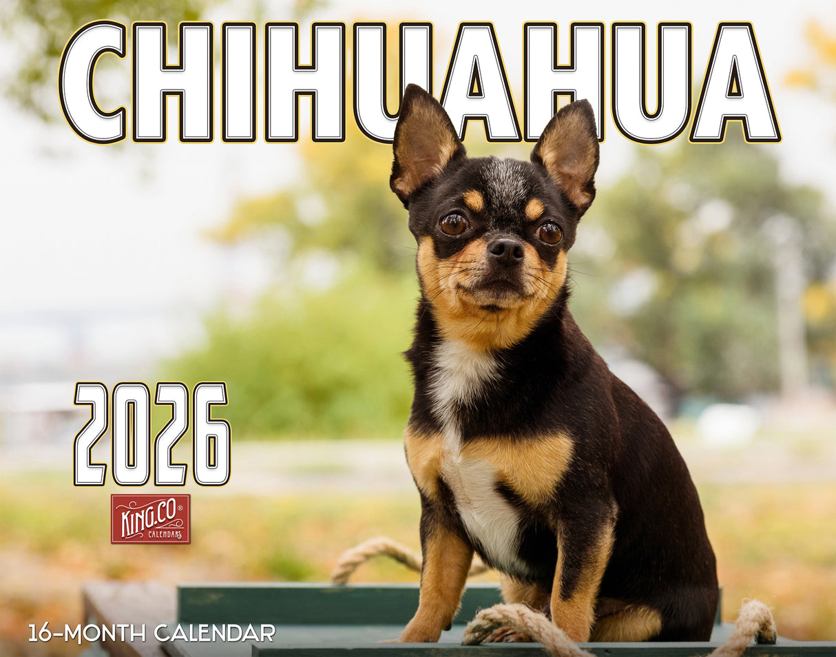 2026 Chihuahuas Dog Wall Calendar