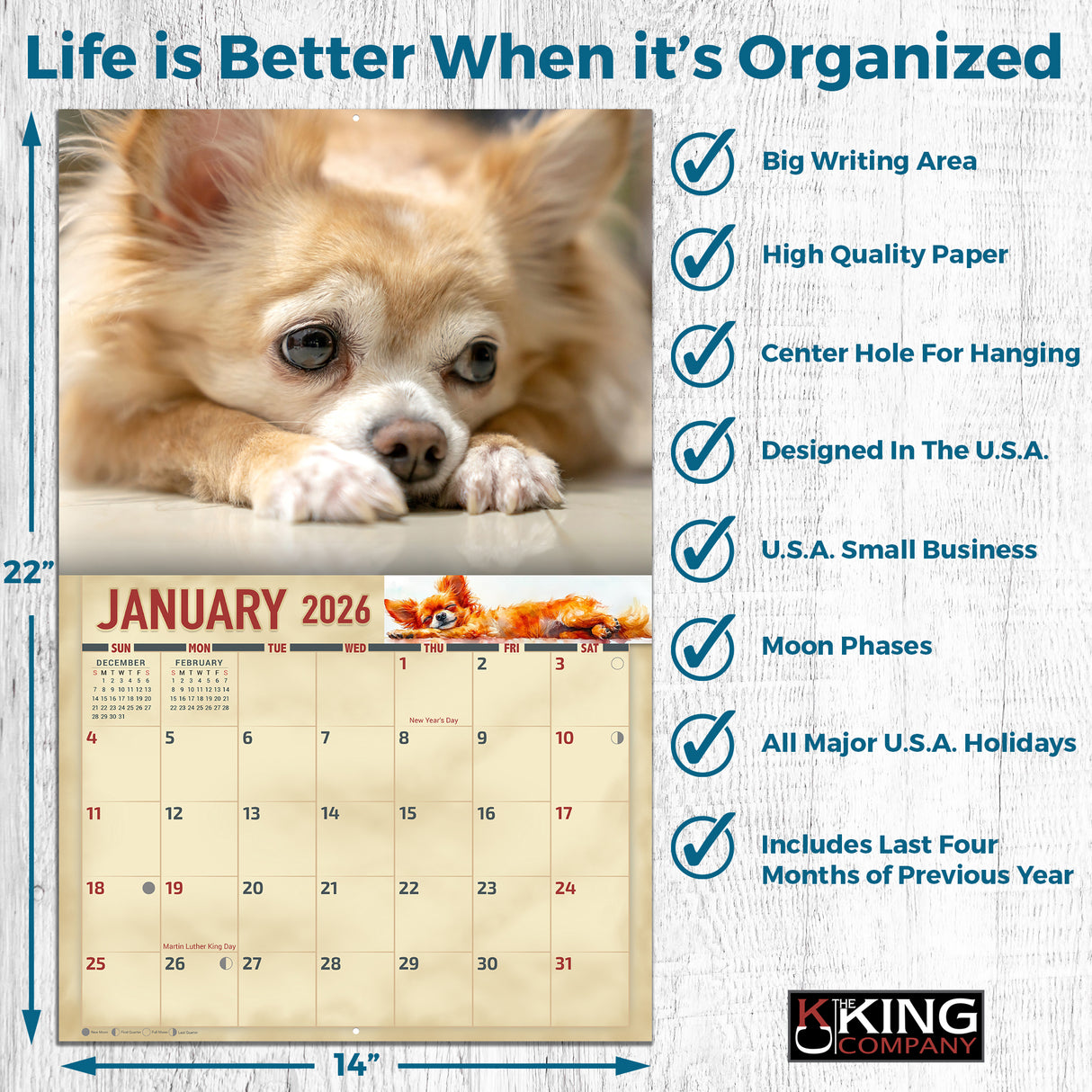 2026 Chihuahuas Dog Wall Calendar