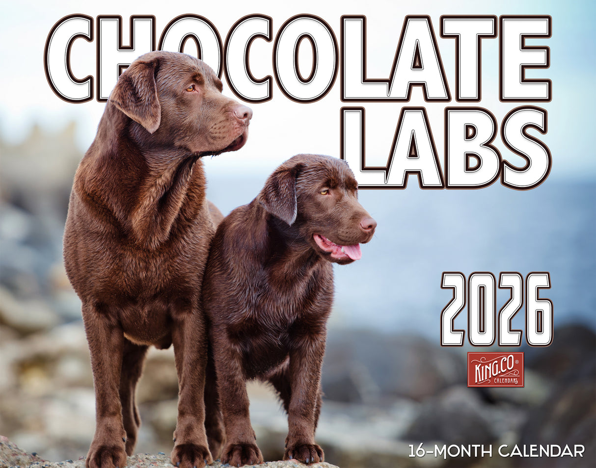 2026 Chocolate Labradors Wall Calendar