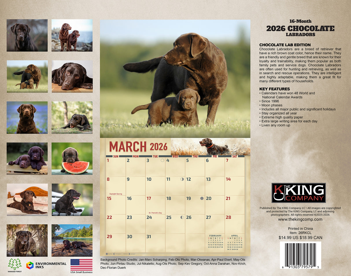 2026 Chocolate Labradors Wall Calendar
