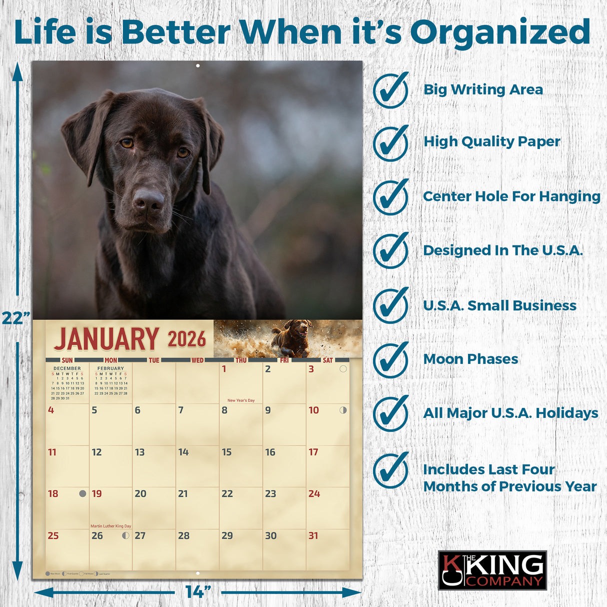 2026 Chocolate Labradors Wall Calendar