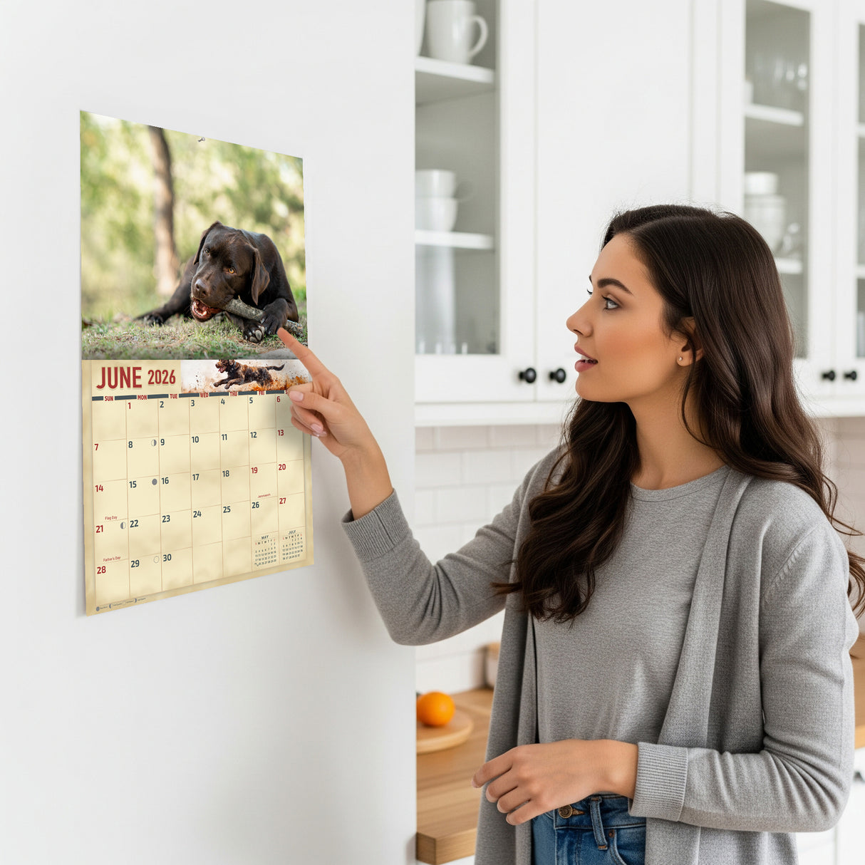 2026 Chocolate Labradors Wall Calendar