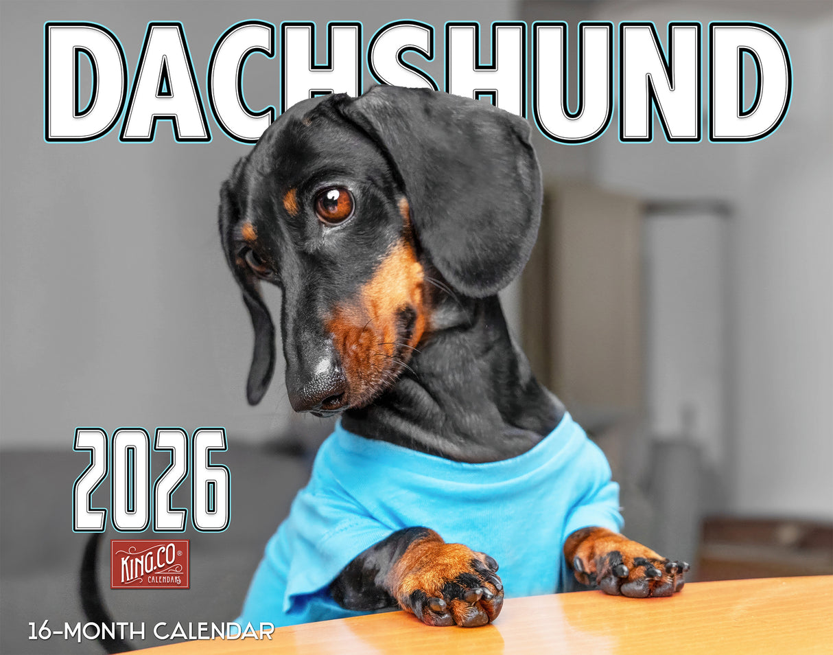2026 Dachshund Dog Wall Calendar
