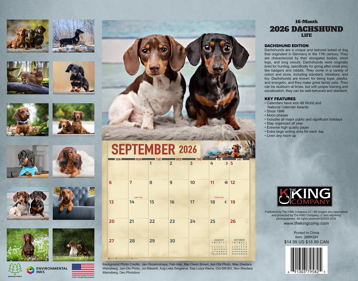 2026 Dachshund Dog Wall Calendar