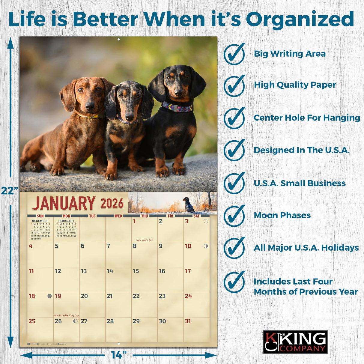 2026 Dachshund Dog Wall Calendar