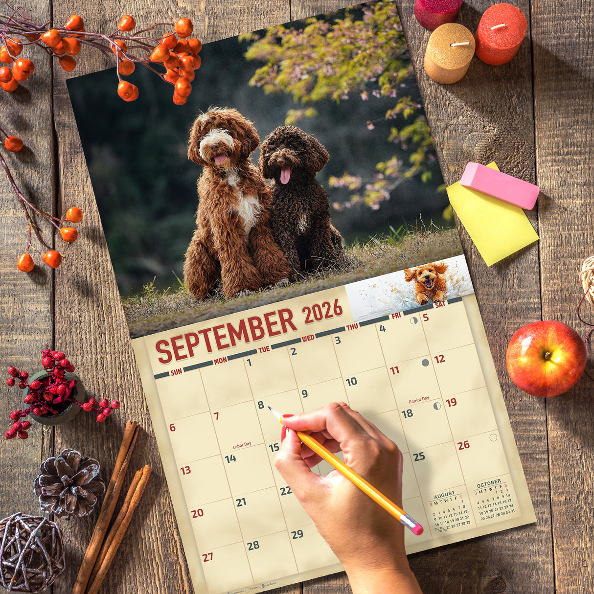 2026 Doodle Dogs Wall Calendar
