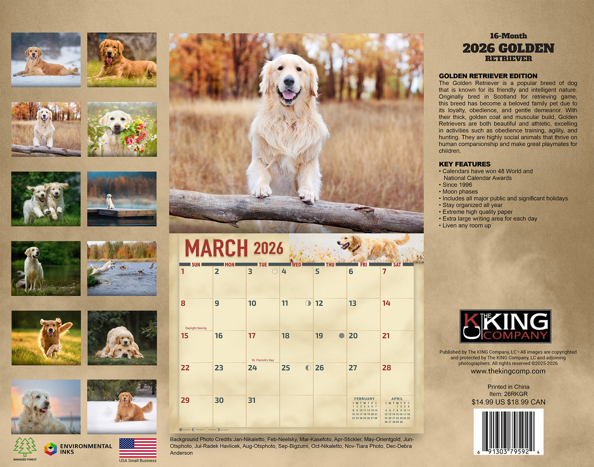 2026 Golden Retrievers Wall Calendar
