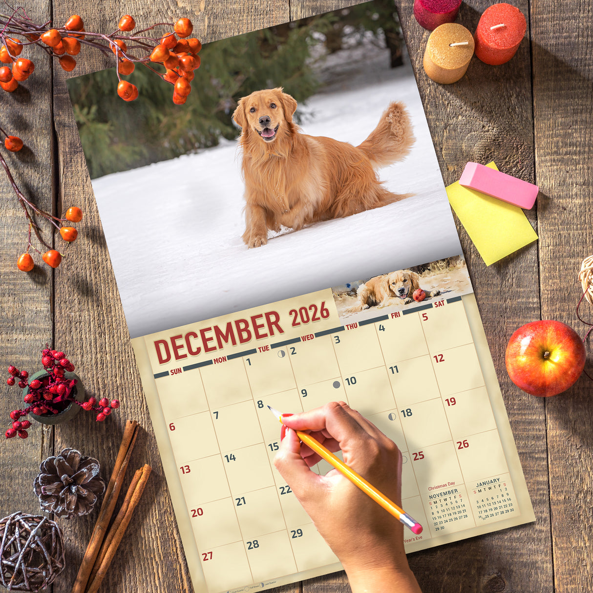 2026 Golden Retrievers Wall Calendar