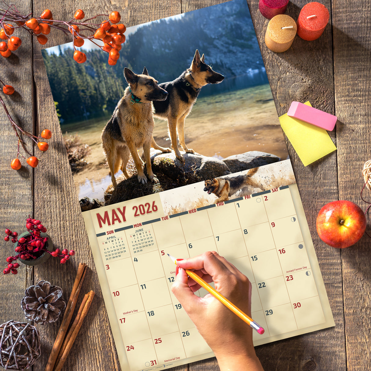 2026 German Shepherds Wall Calendar