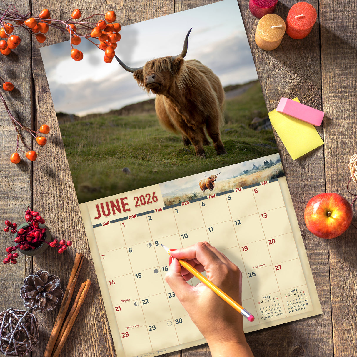 2026 Highland Cows Wall Calendar