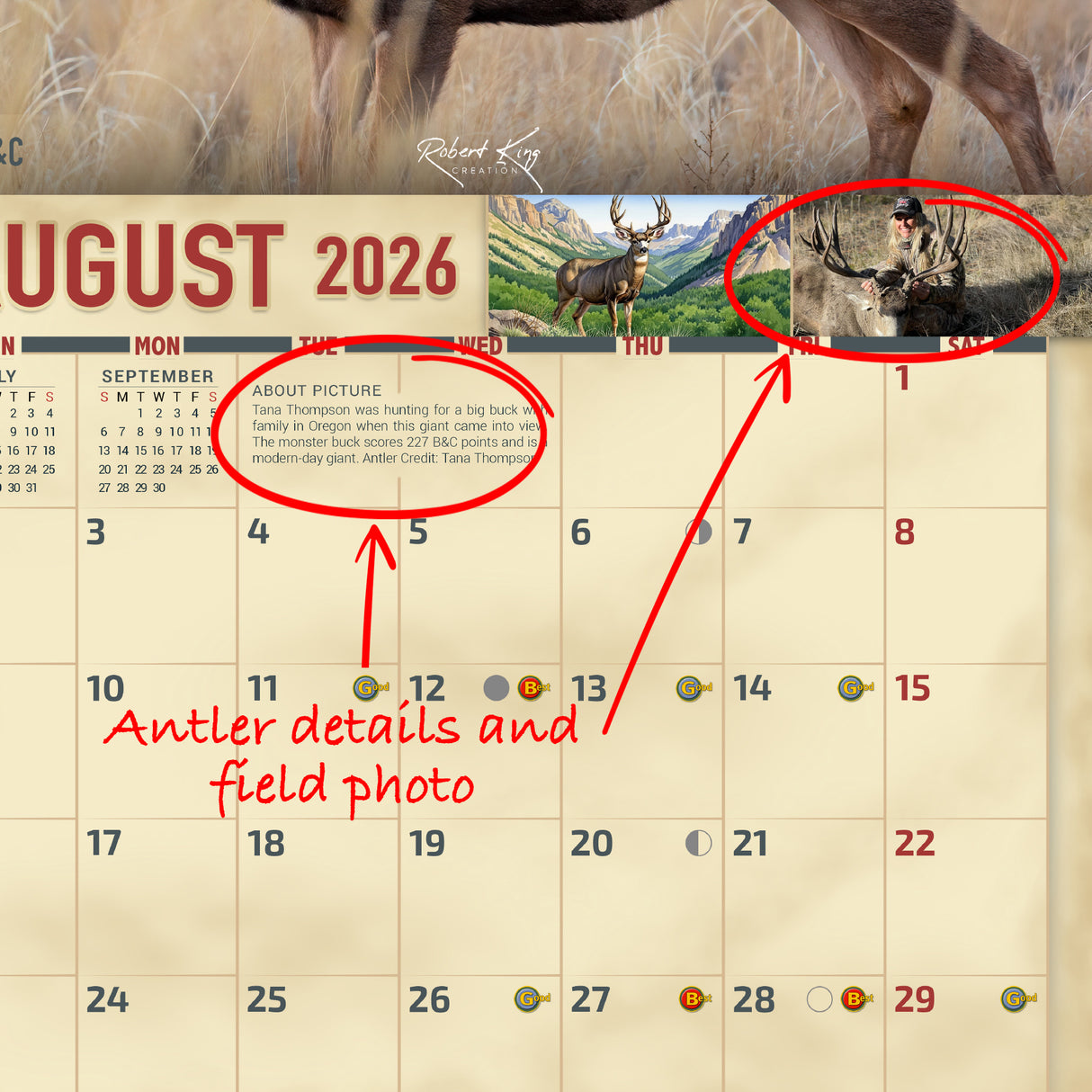 2026 Mule Deer Signature Series Wall Calendar