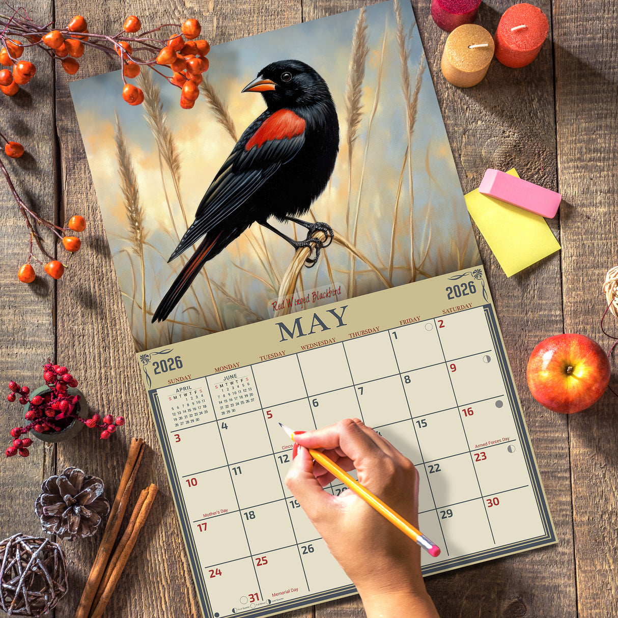 2026 Songbirds Wall Calendar