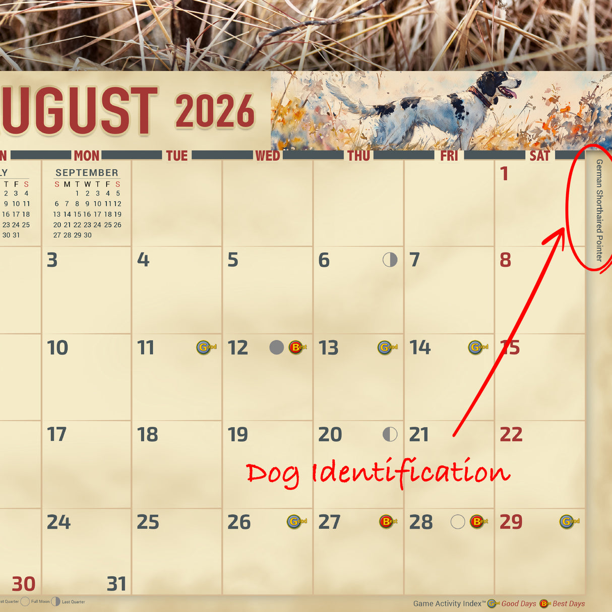 2026 Sporting Dogs Wall Calendar