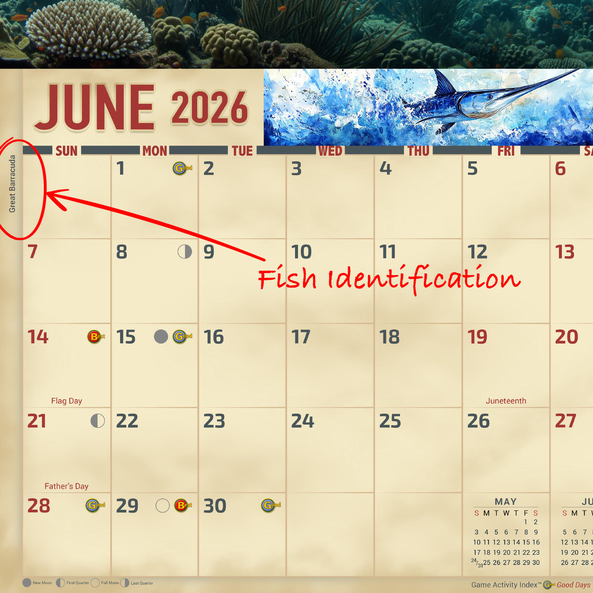 2026 Saltwater Sport Fishing Wall Calendar