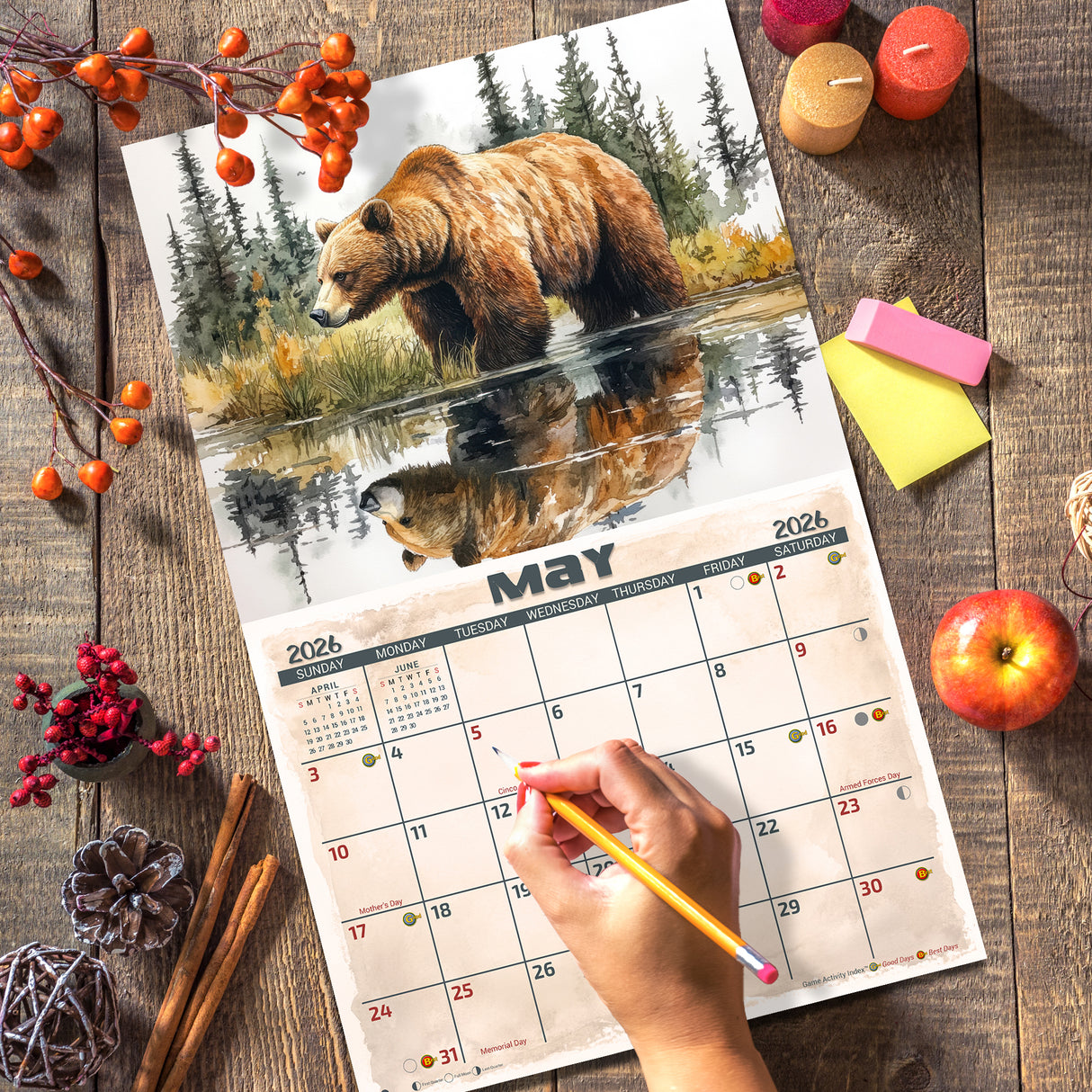 2026 Wildlife Illustrated Wall Calendar