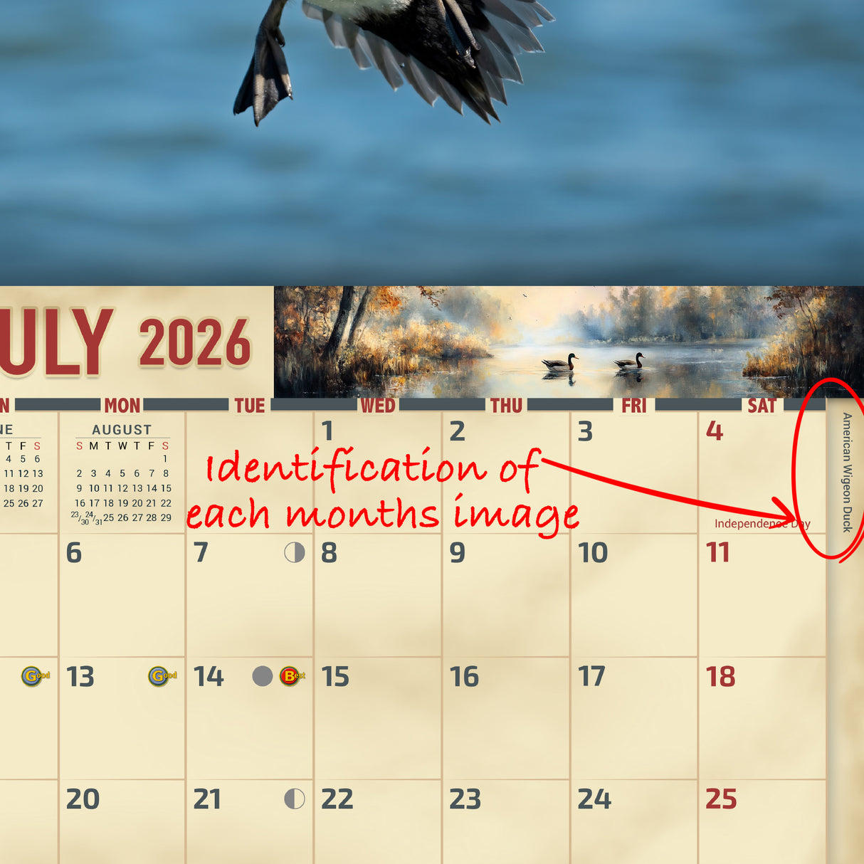 2026 Waterfowl Wall Calendar