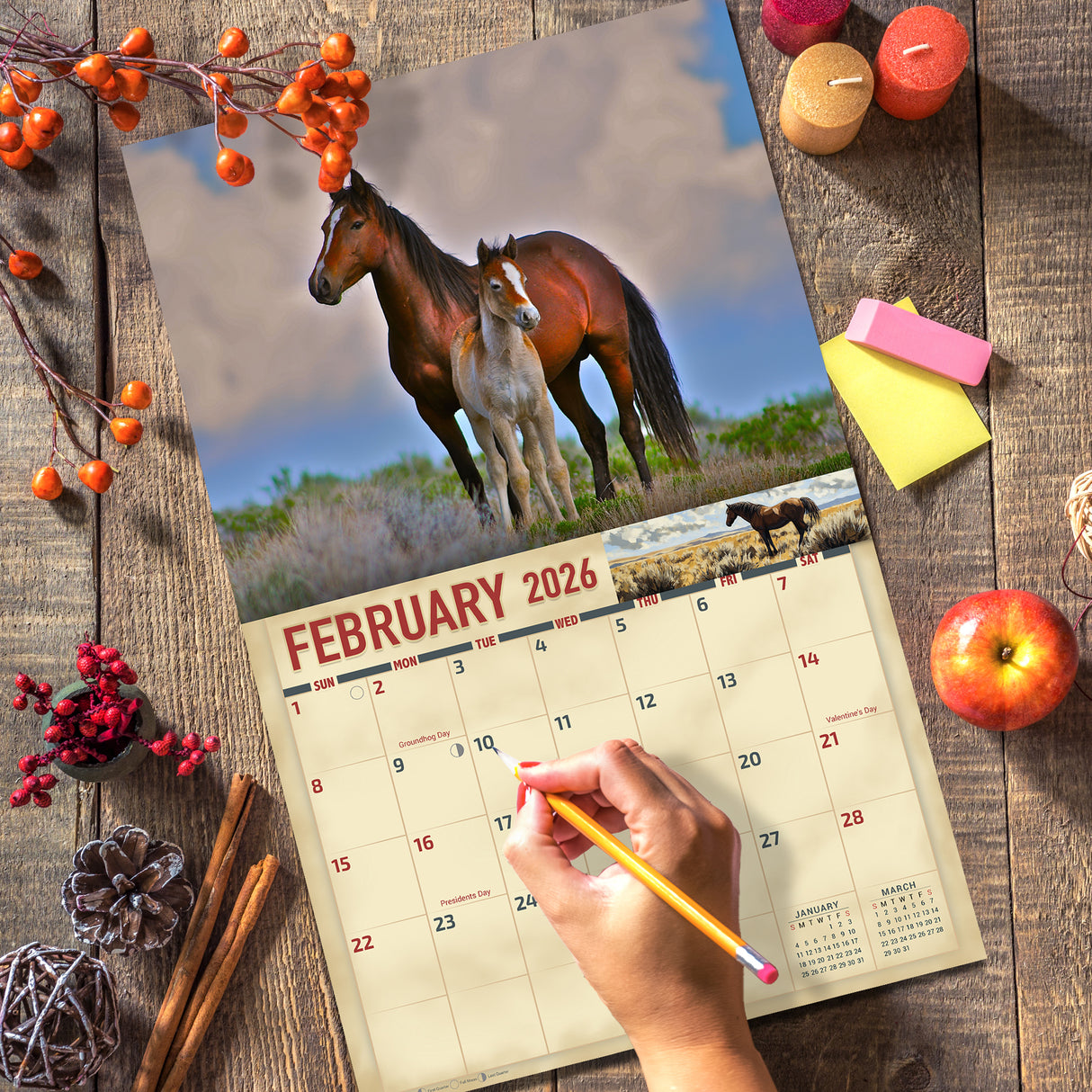 2026 Wild Horses Wall Calendar