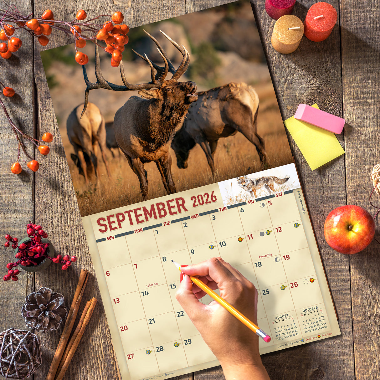 2026 Wildlife of North America Wall Calendar