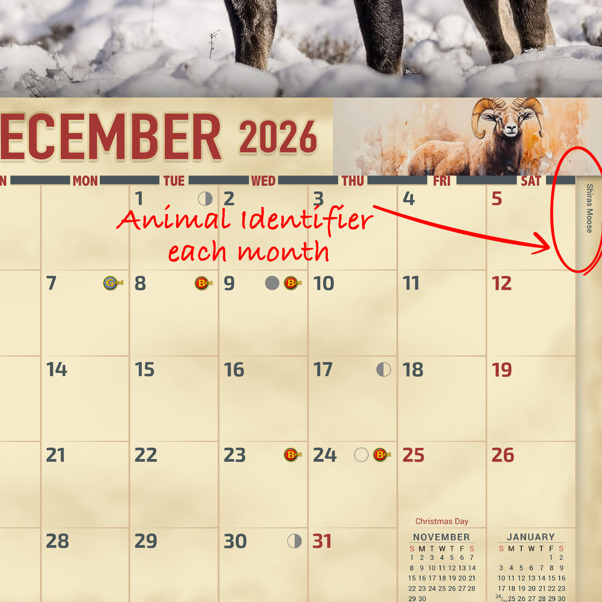 2026 Wildlife of North America Wall Calendar