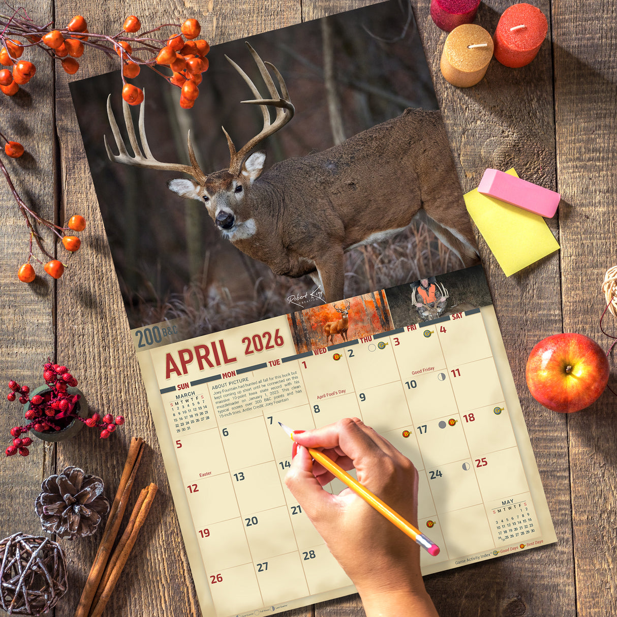 2026 Whitetail Deer Signature Series Wall Calendar