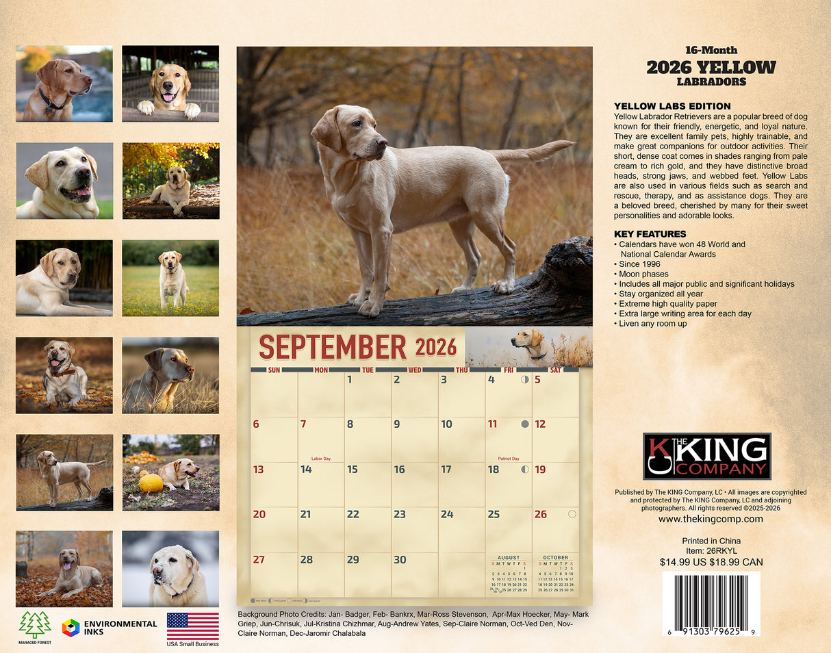 2026 Yellow Labradors Wall Calendar