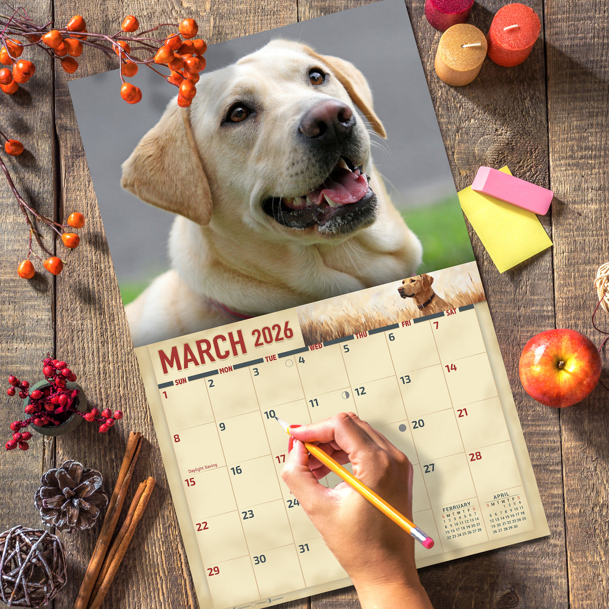 2026 Yellow Labradors Wall Calendar