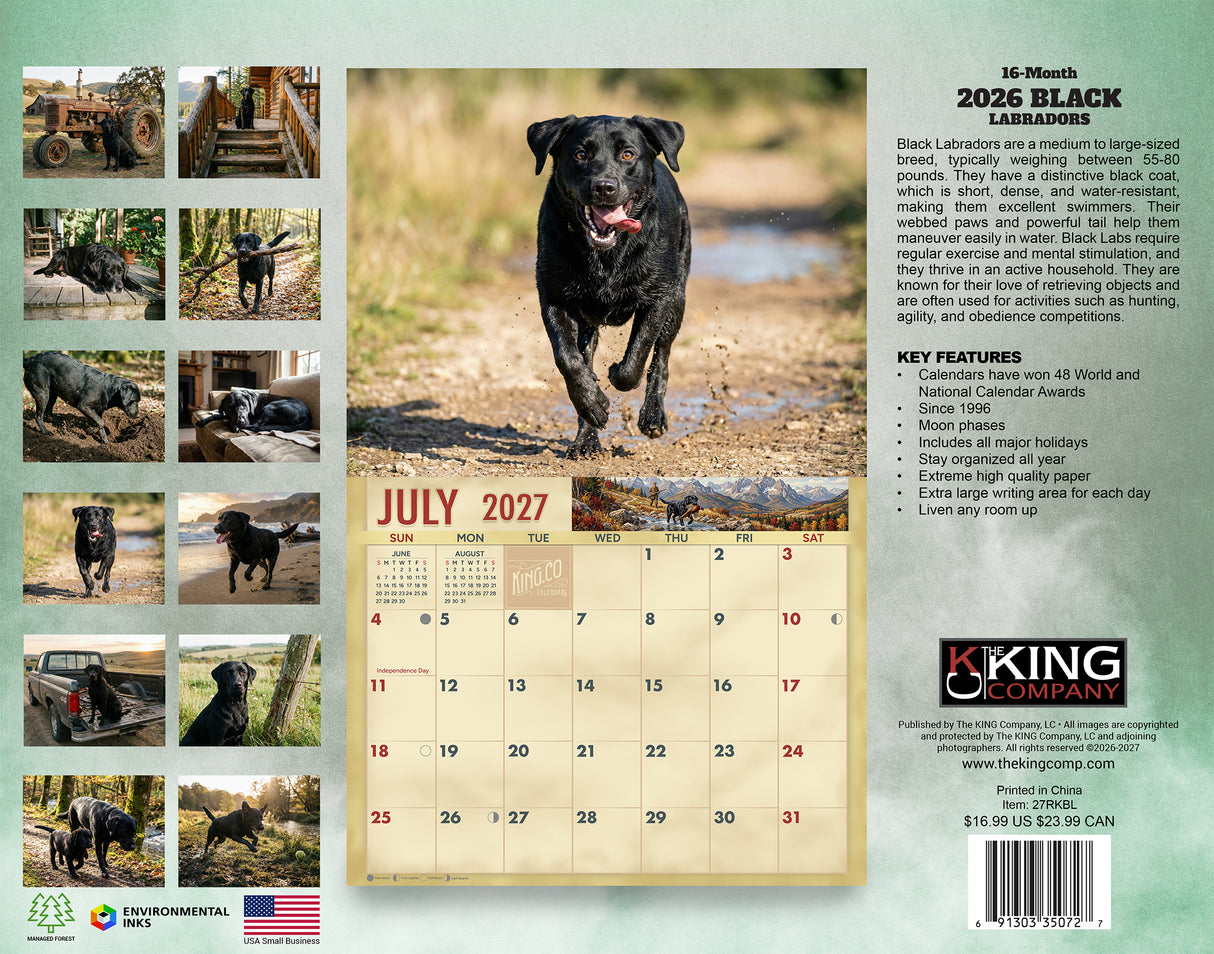 2027 Black Labs Wall Calendar – 16-Month Labrador Retriever Photography