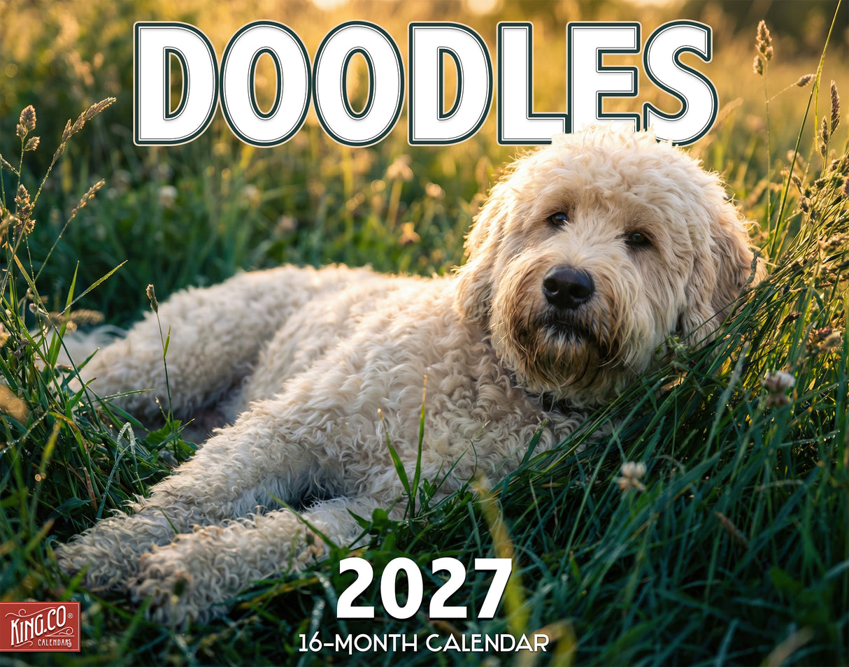 2027 Doodles Wall Calendar – 16-Month Designer Dog Photography