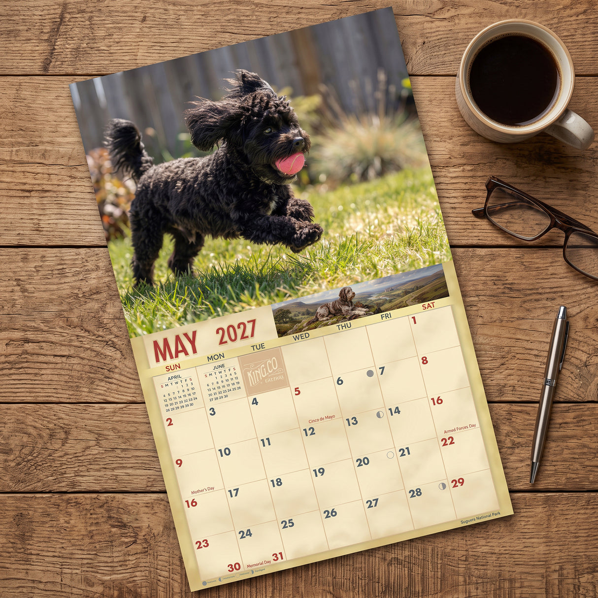 2027 Doodles Wall Calendar – 16-Month Designer Dog Photography