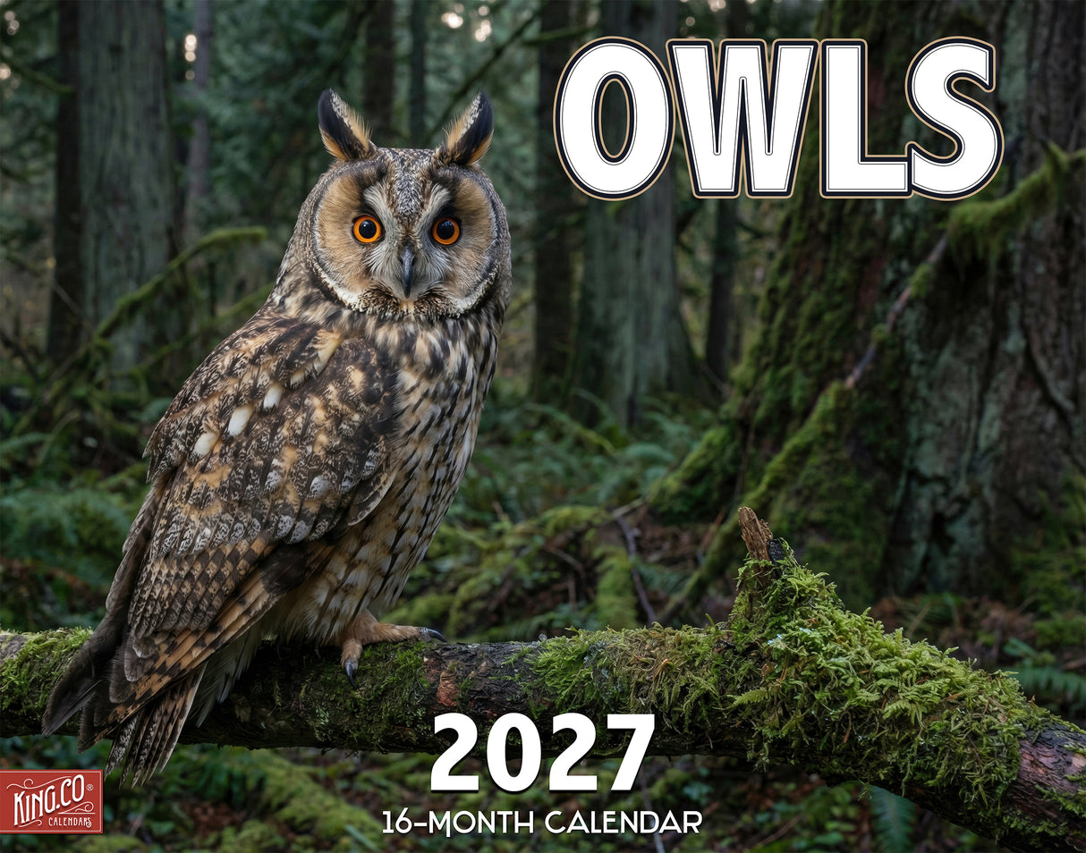 2027 Owls Wall Calendar – 16-Month Wildlife Photography