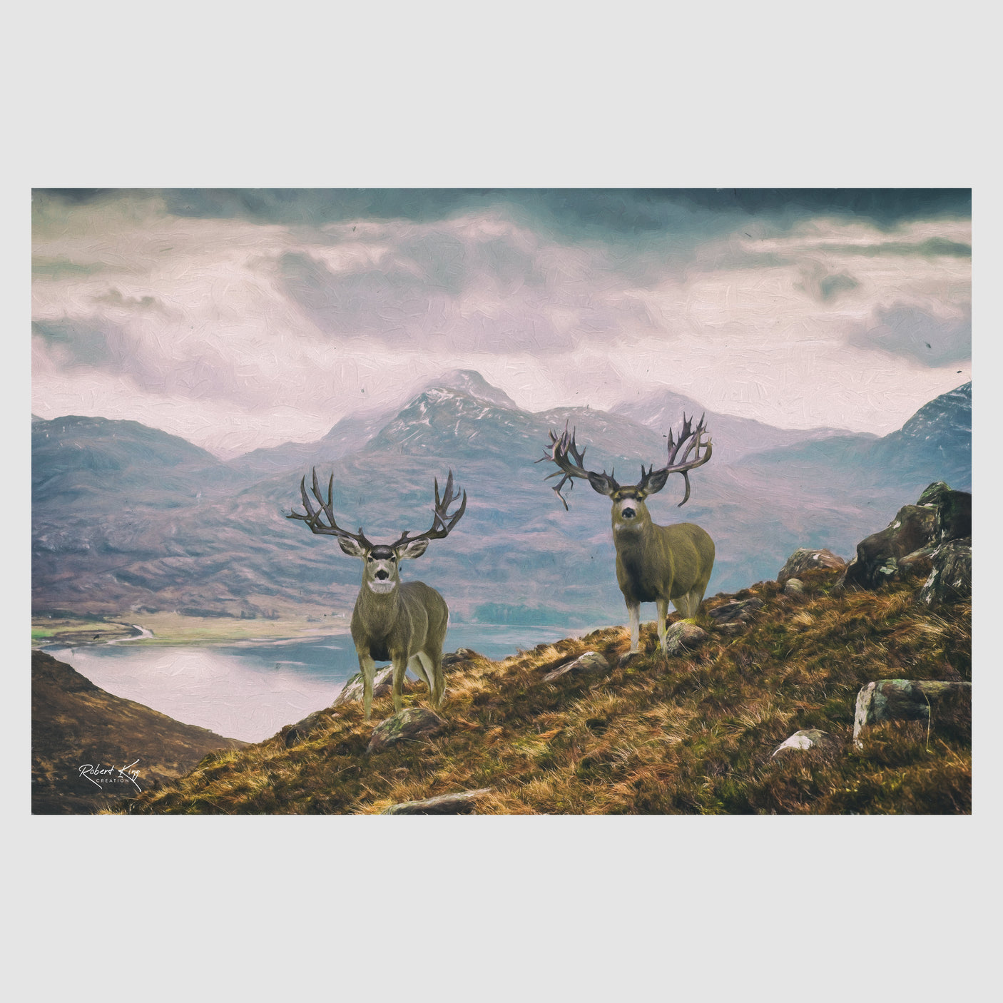 Bad Company Mule Deer Print